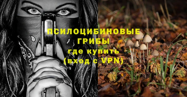 бутират Баксан